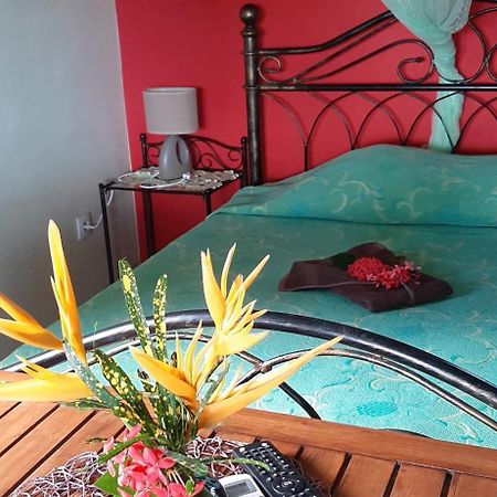 Bungalow Mangifera Proche De La Plage Le Diamant Extérieur photo
