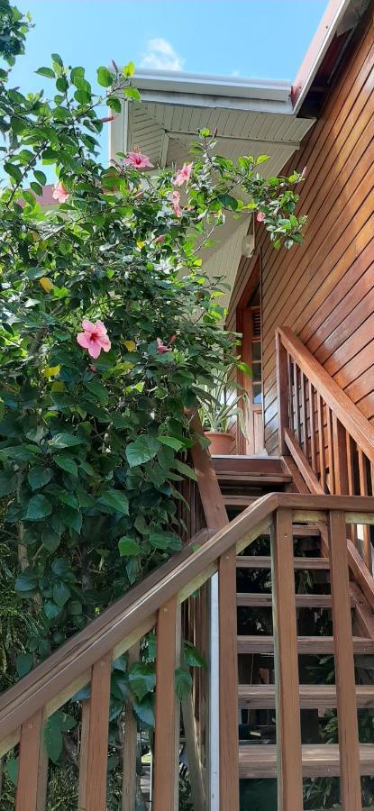 Bungalow Mangifera Proche De La Plage Le Diamant Extérieur photo